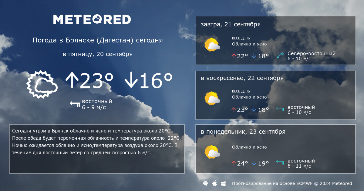 Погода брянск на 14 дней