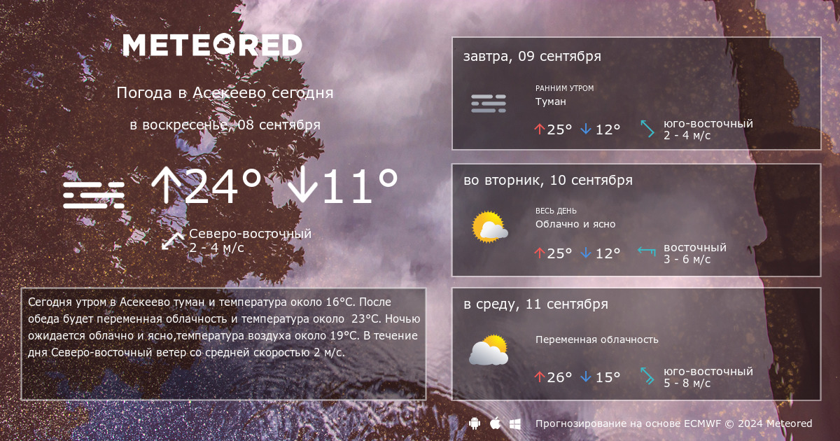 Погода асекеево на 14 дней