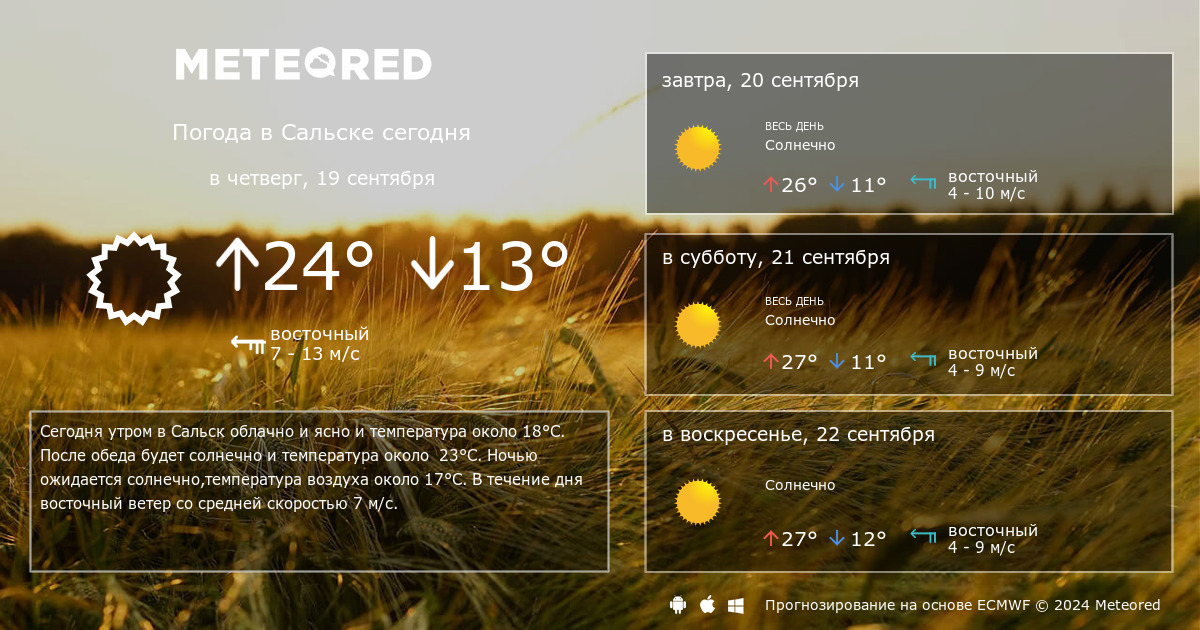 Погода в сальске на неделю точный прогноз