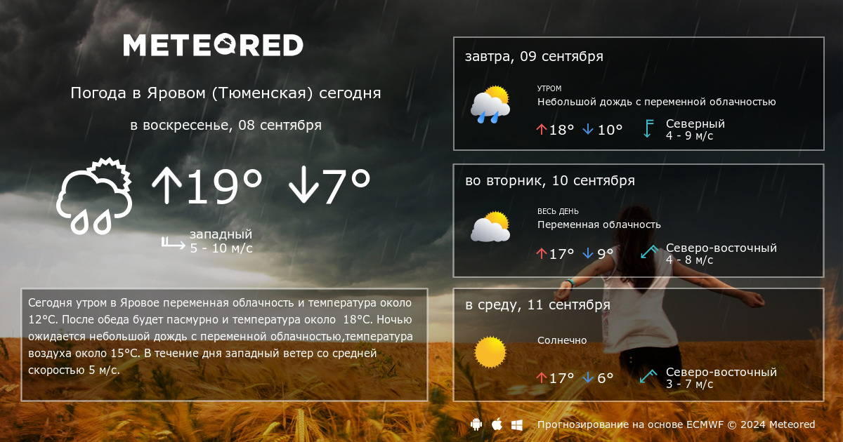 Прогноз погоды яровое на 14 дней алтайский