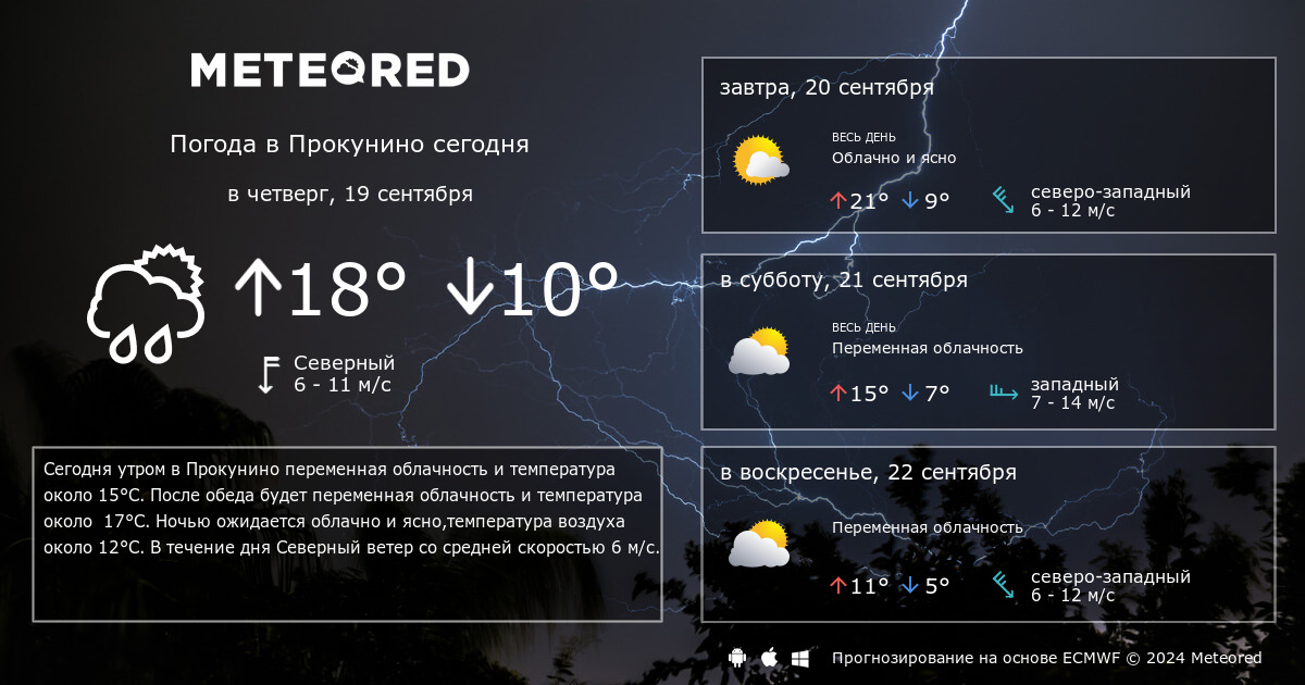 Санкт петербург погода завтра по часам подробно