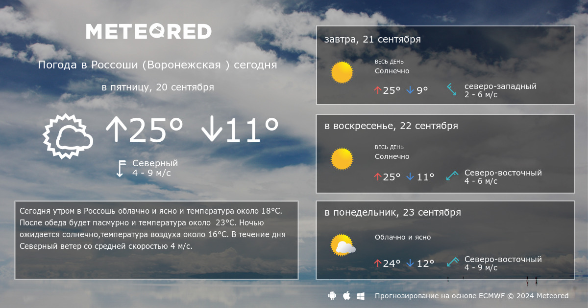 Воронеж на 14 дней