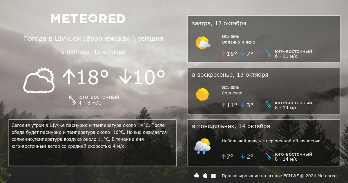 Погода в касимове карта осадков