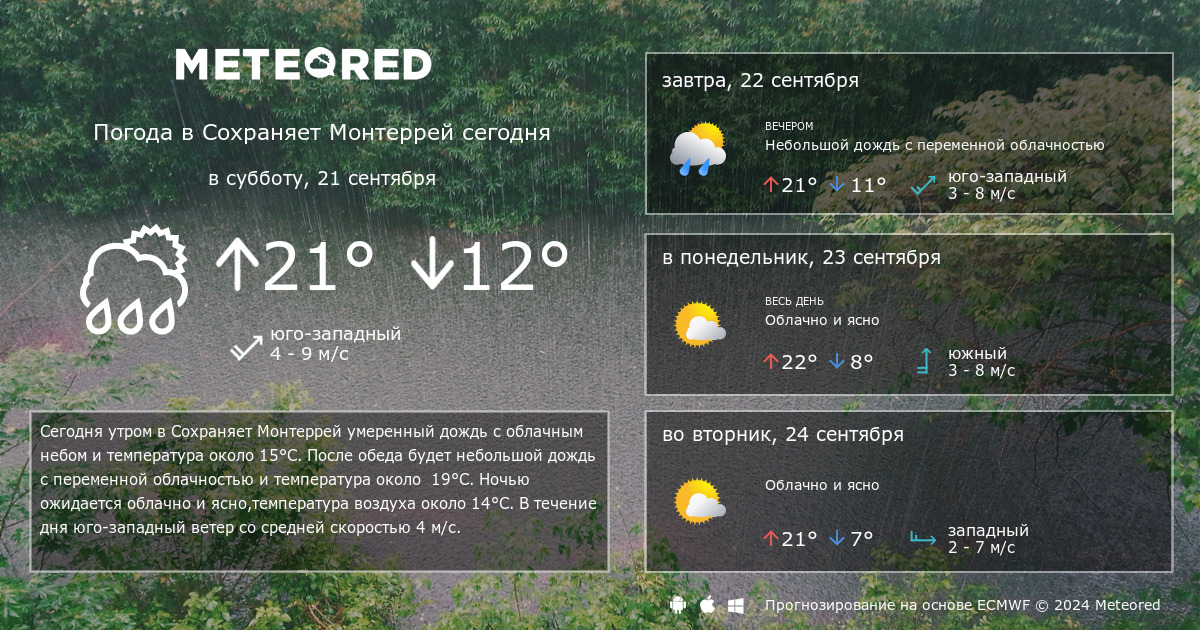 Прогноз в подольске на 14 дней погоды